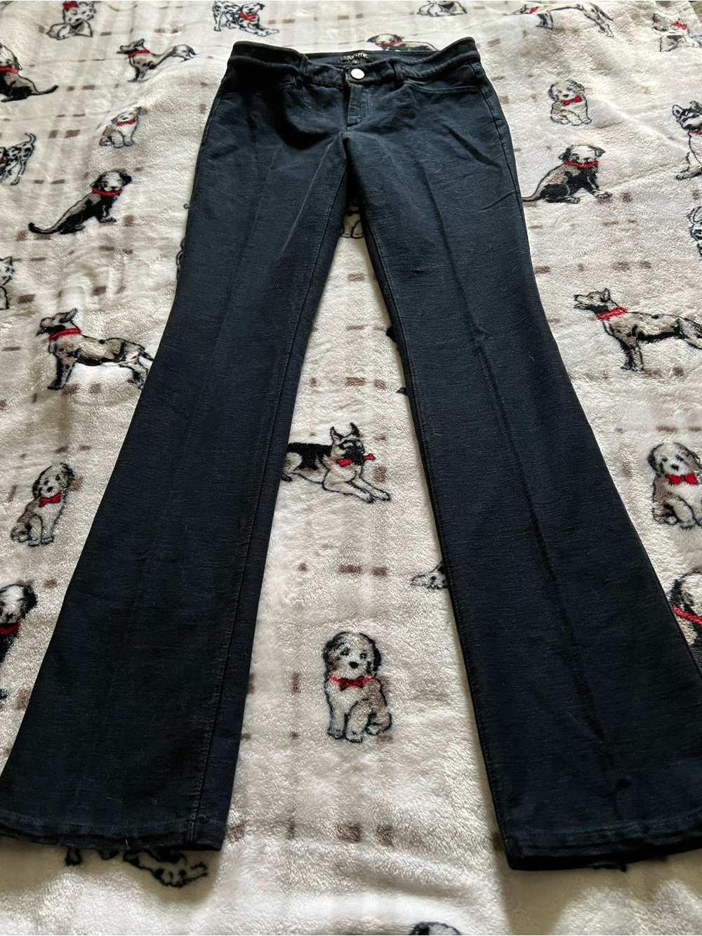 NIC+ZOE Black Flared Pants